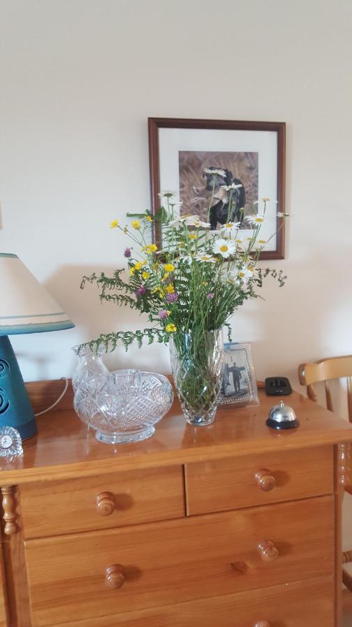 Corrib View Lodge Glencorrib  Eksteriør bilde